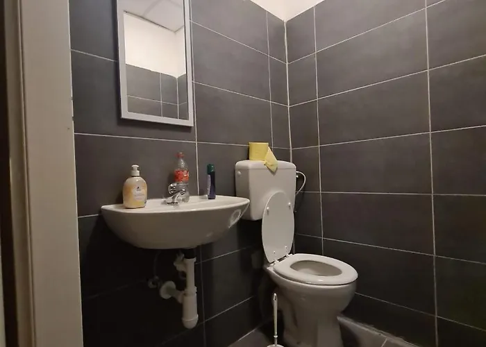 Otel The Wiedner Viyana